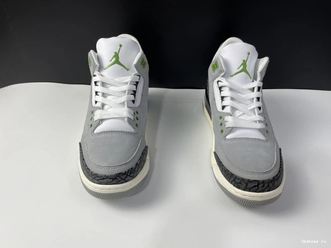 Retro Jordan 3 136064-006 Air Chlorophyll 1031